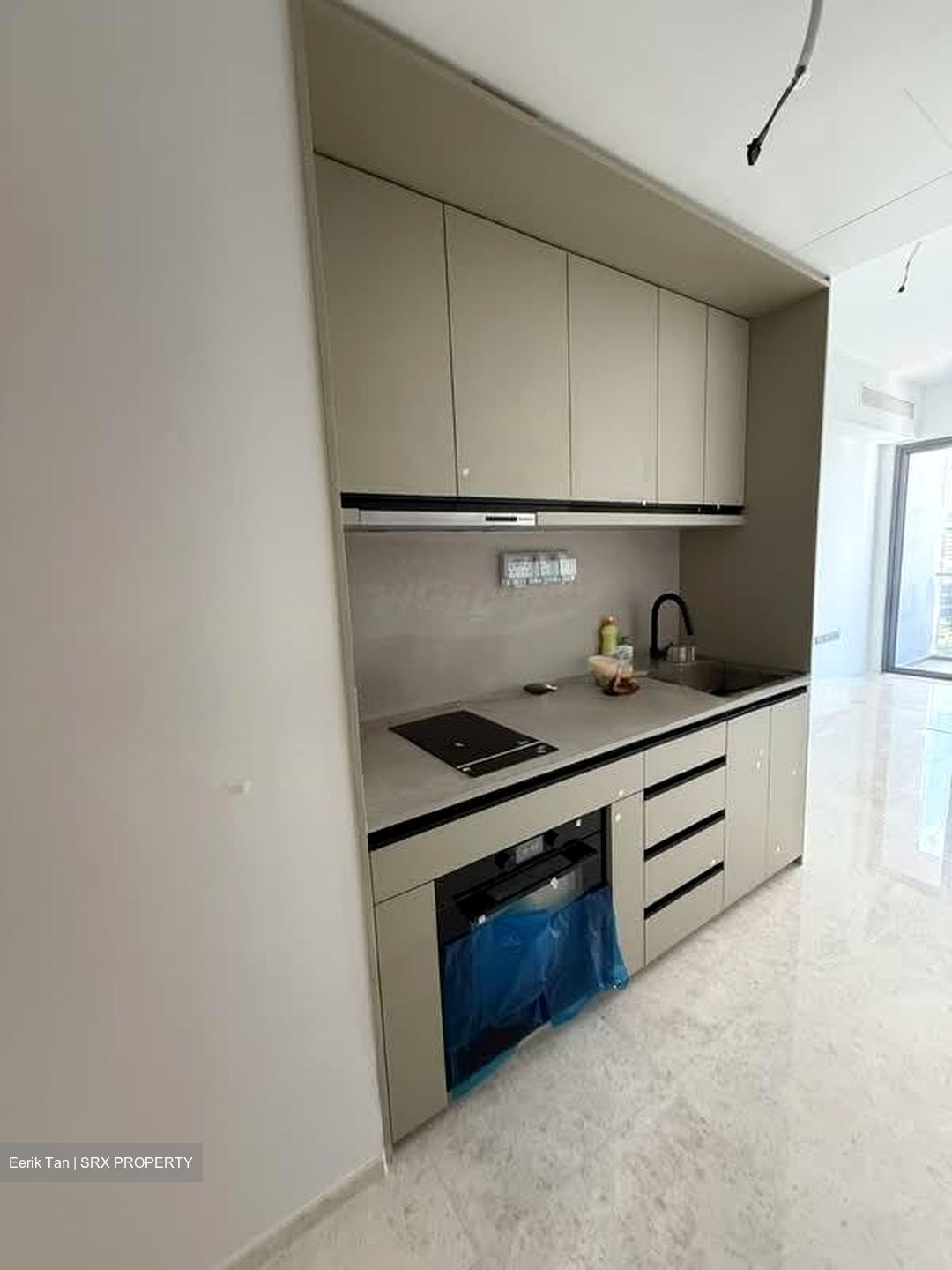 Hill House (D9), Apartment #552013301